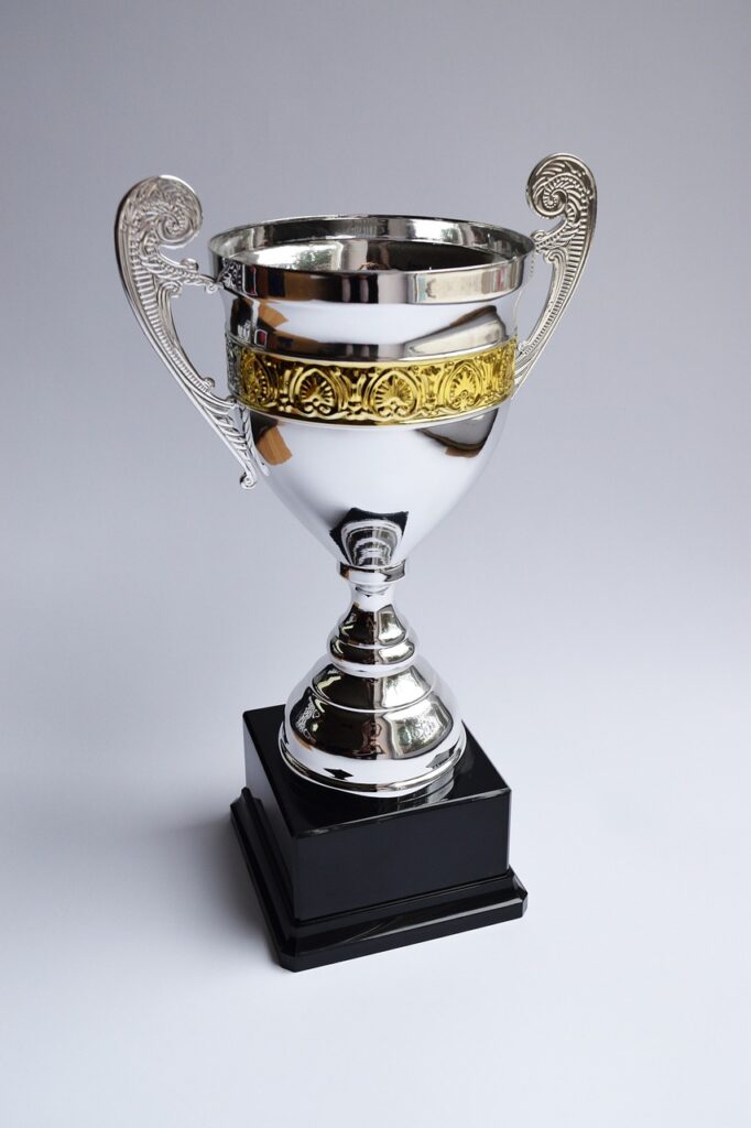 trophy, award, winner-2754166.jpg